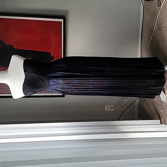 silence + noise Dresses & Skirts - NWOT silence + noise Pleated Maxi Dress, Size 6, Color Black